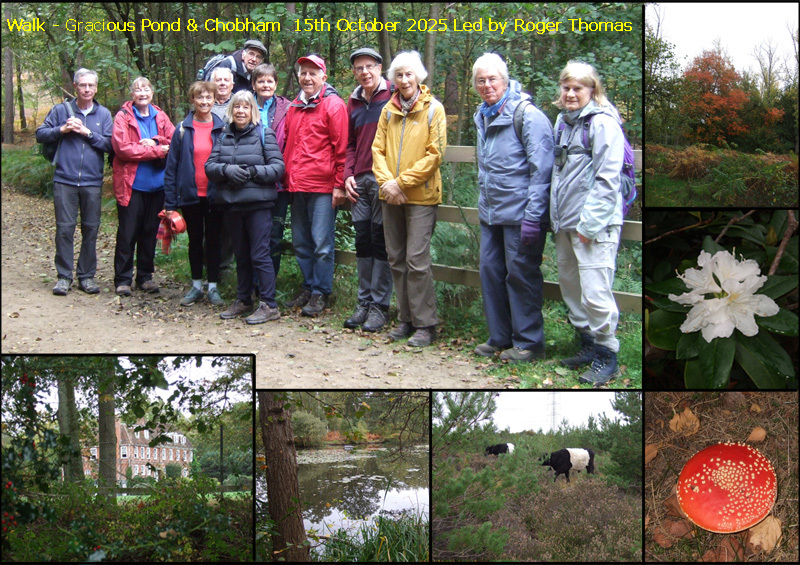 15th October 2025 - Gracious Pond & Chobham